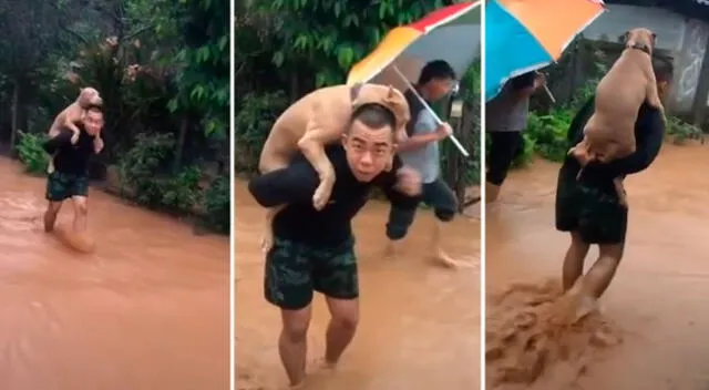 Soldado rescata a un perrito y lo lleva cargado a un lugar seguro