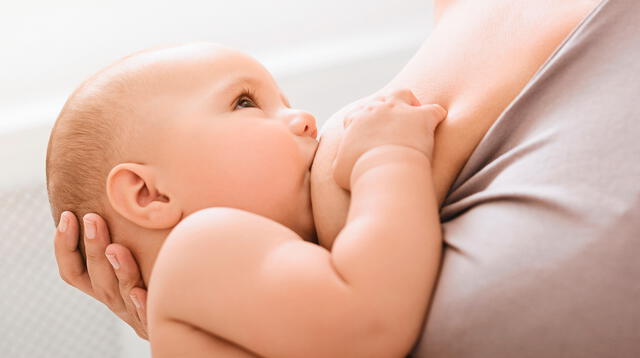 La leche materna es una fuente importante de energía, proteínas, vitaminas, grasas y de nutrientes.