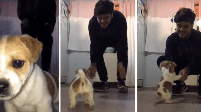 Más de 5 mil reproducciones logró el video viral del joven con su pequeño can.