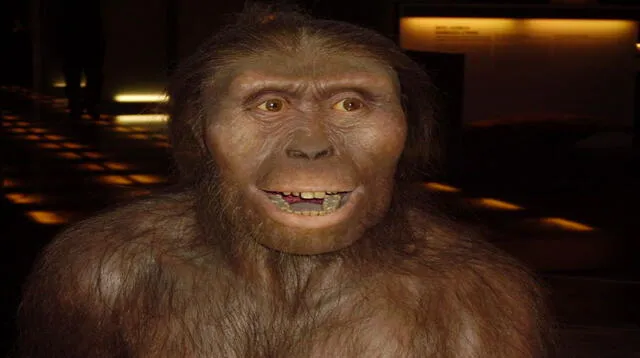 Conoce a los Australopithecus.