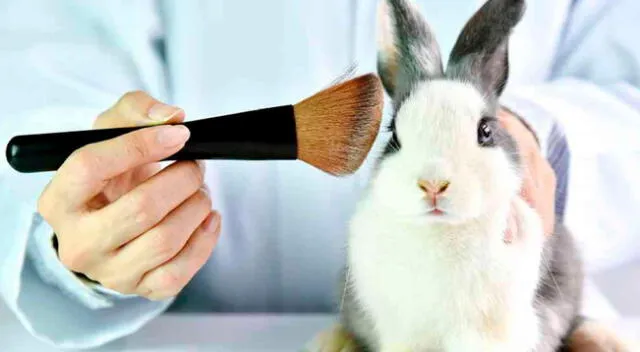 Colombia prohíbe las pruebas de cosméticos en animales
