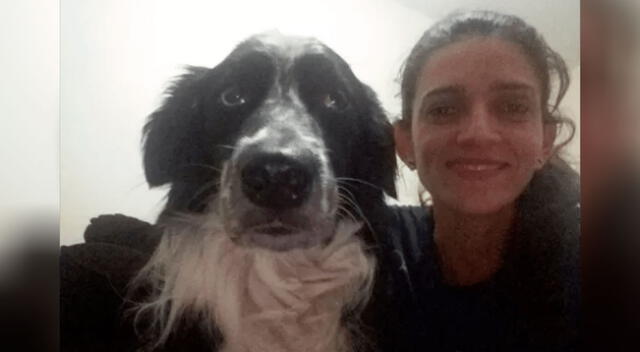 Perro arriesgo su propia vida para salvar a familia de un ataque de enjambre de abejas