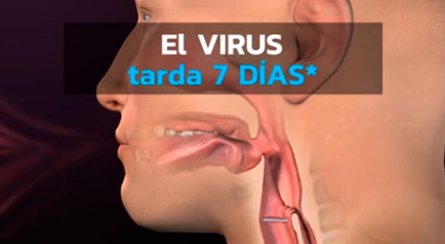 Especialista aclara que el cepillado y el uso del enjuague bucal no eliminan ni garantiza protegerse del coronavirus, pero ayuda a reducir que el virus se expanda en el interior del organismo.