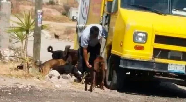 Repartidor de golosinas alimenta a los perritos de la calle y se vuelve viral