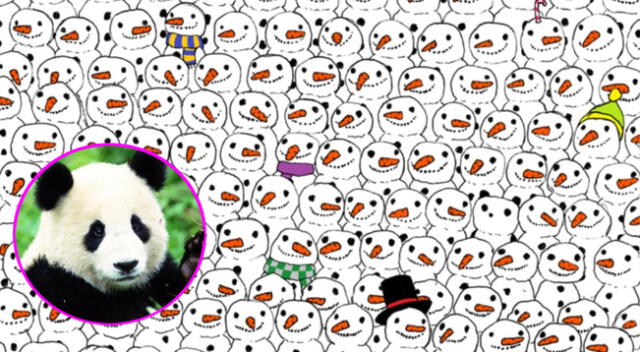 Resulte el divertido reto visual del oso panda.