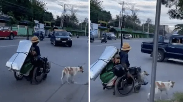 La tierna escena cautivó a los usuarios en las redes sociales.