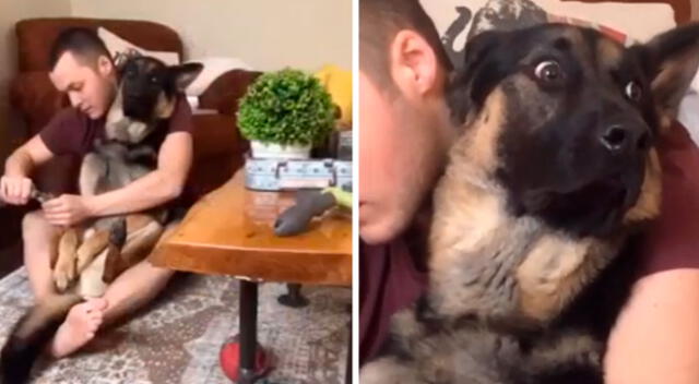 La reacción del can ha sacado más de una sonrisa a todos en las redes sociales.