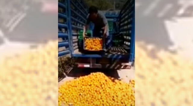 Agricultores piden ayuda ante perdida de sus cultivos en Chanchamayos.