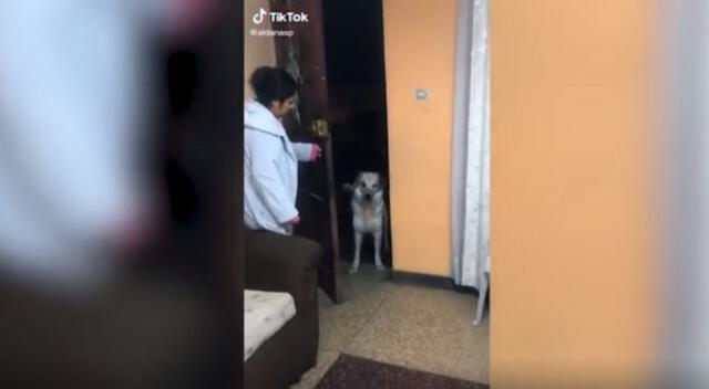 El hilarante clip logró más de 400 mil visualizaciones en TikTok.