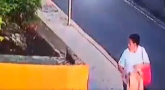 Otro video de una mujer abandonando a su cachorro en México.