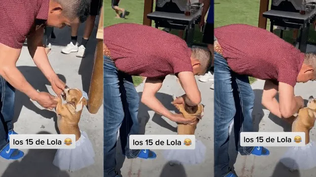 Miles de usuarios en TikTok quedaron fascinados con el 'quinceañero' de la perrita llamada Lola.