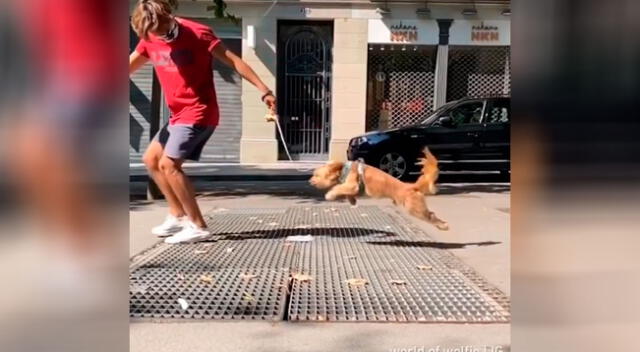 Perrito evitó caminar por unas rejas saltando y asombro a todos en Instagram.