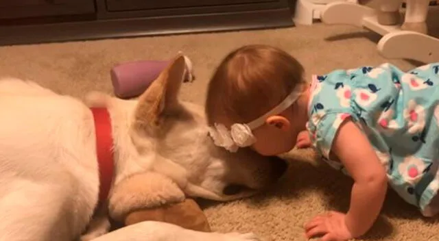 La tierna reacción de un perro cuando una bebé le está dando besos
