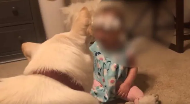 El tierno comportamiento de un perrito cuando jugaba a los besos con una bebé ha conmovido a más de un usuario en YouTube.