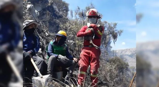 Incendios forestales en Cusco a punto de llegar a zona arqueológica.