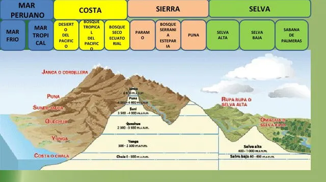 La región Chala o Costa alberga a las ecorregiones de Desierto Costero Tropical y Desierto Costero Subtropical (por debajo de los 500 m s.n.m.).