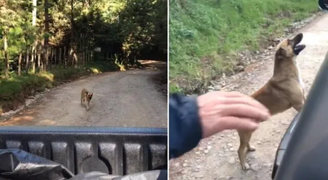 Miles de usuarios se emocionaron al ver el emotivo video viral de TikTok.