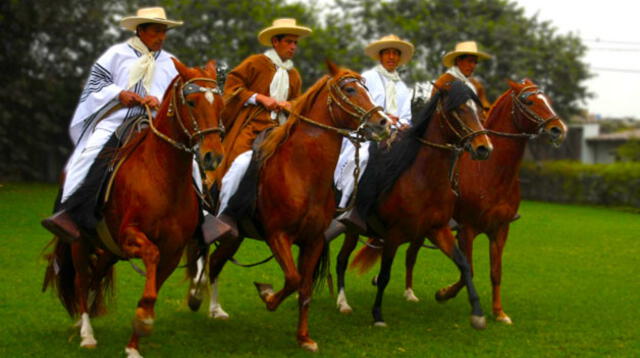 El caballo peruano de paso es una raza equina oriunda del Perú, descendiente de los caballos introducidos durante la Conquista.