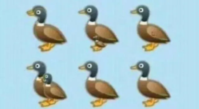 ¿Cuántos patos puedes encontrar en la imagen?