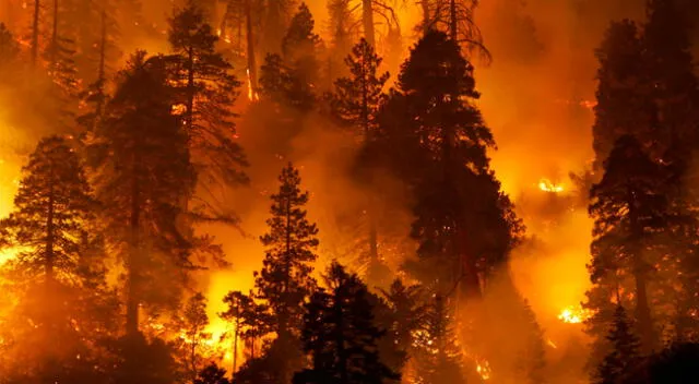 Imagen referencial del incendio forestal en Estados Unidos.