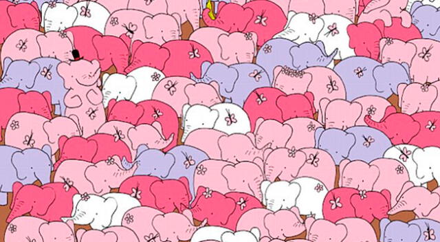 ¿Eres capaz de encontrar el corazón rosado entre los elefantes?