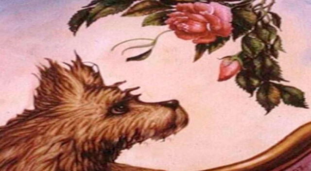 ¿Qué ves primero una rosa, un perro o una mujer?