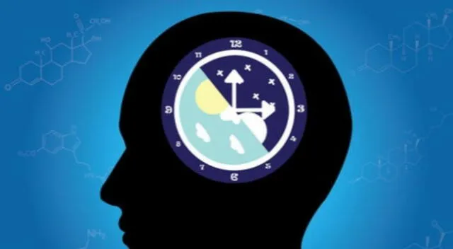 Reloj del online cuerpo humano