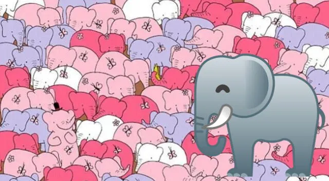 Reto visual: ¿Puedes ver el corazón escondido entre los elefantes?