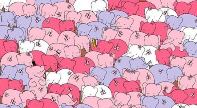 Reto visual: ¿Puedes ver el corazón escondido entre los elefantes?