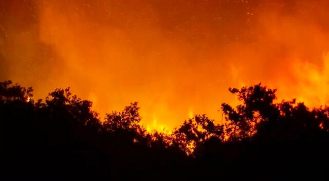 Incendios forestales arrasan con miles de hectáreas en California