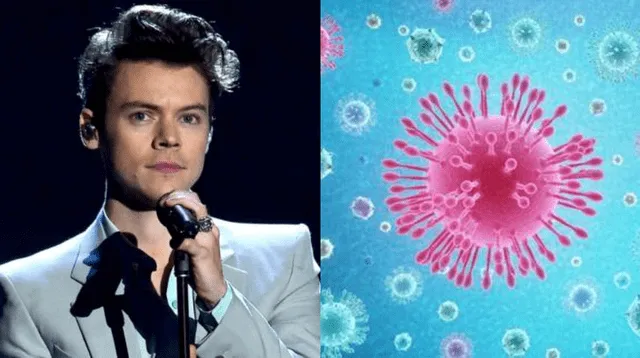 El cantante Harry Styles aseguró que espera poder hacer sus shows en 2021, pero que aún no puede confirmarlo debido a la pandemia.