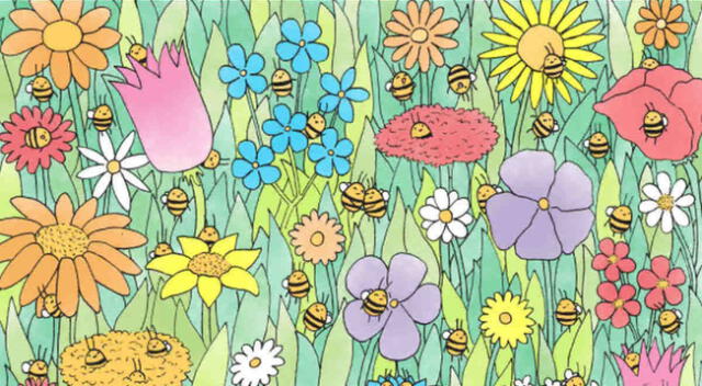 Reto viral: ¿Cuántas abejas ves en la imagen?
