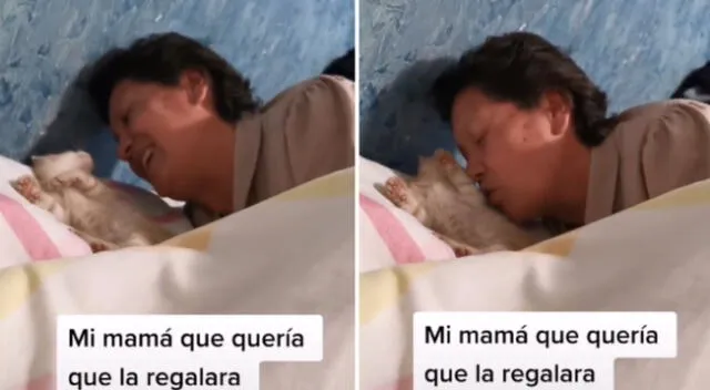 La gatita se ganó el cariño de todos en la familia.