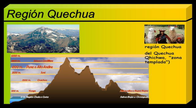 Región Quechua es la tercera región natural.