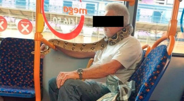 El hombre subió al bus con una serpiente enrollada en el cuello.