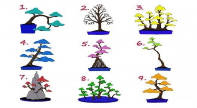Test viral: escoge uno de estos árboles.