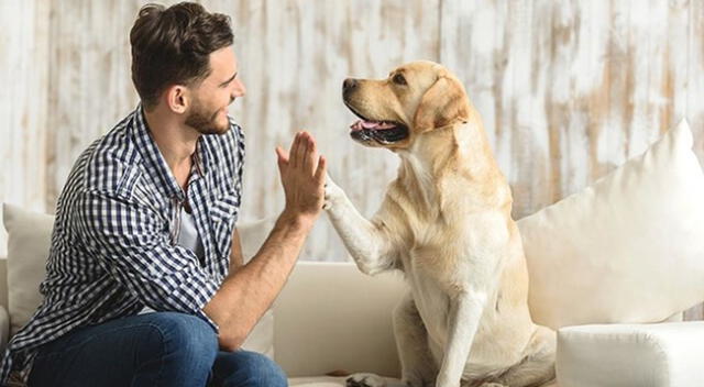 El perrito sorprendió a todos los usuarios de las redes sociales.