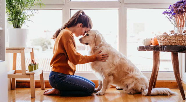 El perrito sorprendió a todos los usuarios de las redes sociales.