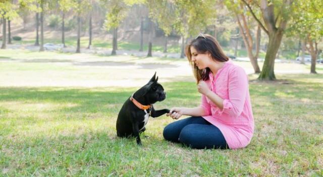 El perrito sorprendió a todos los usuarios de las redes sociales.