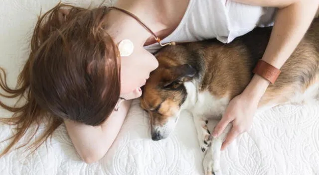 El perrito sorprendió a todos los usuarios de las redes sociales.