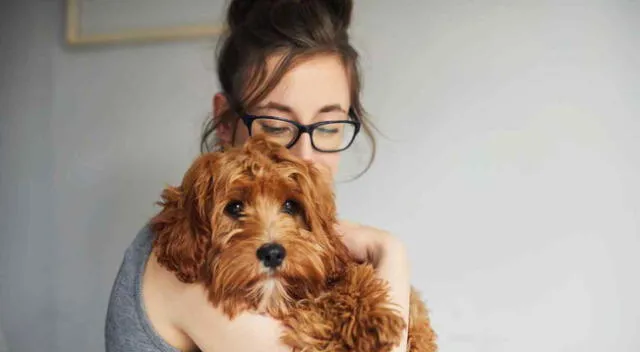 El perrito sorprendió a todos los usuarios de las redes sociales.