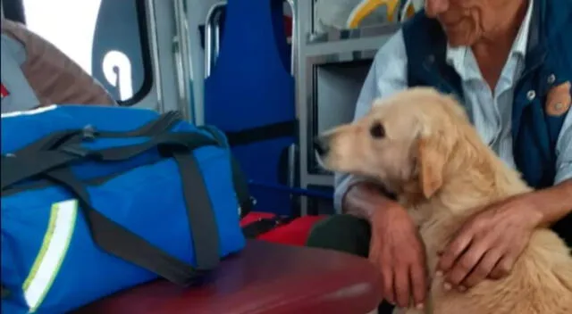 El perro no se separó de su dueño en ningún momento.