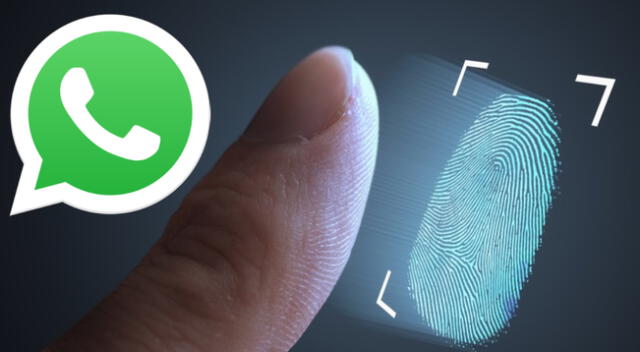 WhatsApp permitirá iniciar sesión usando tu huella dactilar.