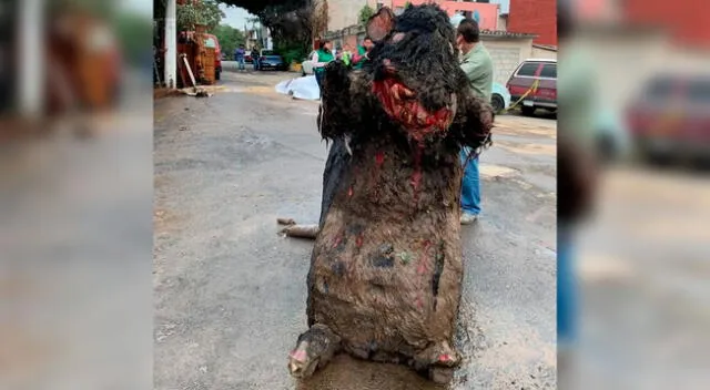 Las imágenes de un disfraz de rata gigante aterra a usuarios de Twitter.