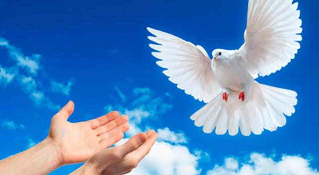 ¿Por qué se celebra el Día Internacional de la Paz?