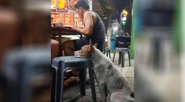 Imágenes del perrito esperando en local de comida.