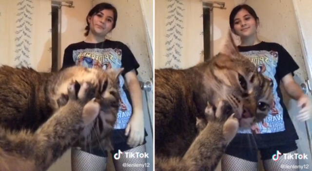 El gato esperó a que su dueña empezara a grabar su reto de baile de TikTok.