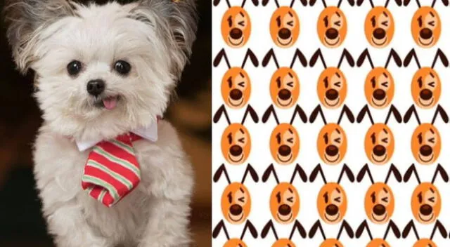 Reto viral: encuentra al emoji de perro que se diferencia.