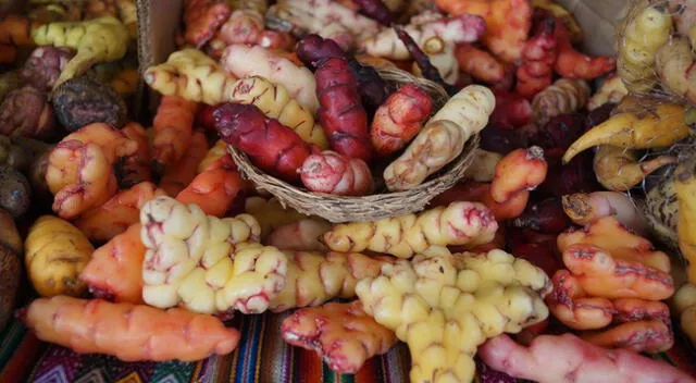 Agricultura y siembra de tubérculos.