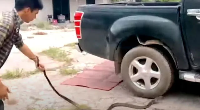 Hombre descubre que había una enorme serpiente atrapada dentro de su auto